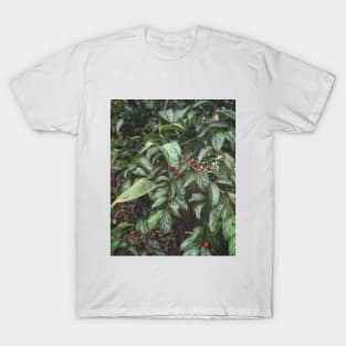 Costa Rica Flora T-Shirt